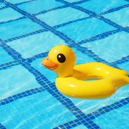 Bild von Kinderschwimmkurs Ente