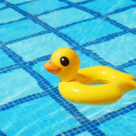 Bild von Kinderschwimmkurs Ente